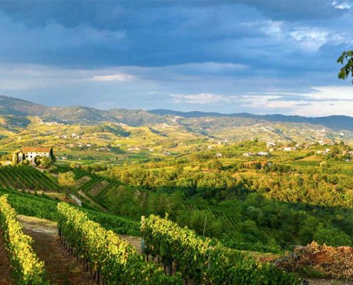 agriturismo Cjasal di Pition