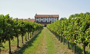 agriturismo-cjasal-di-pition-pozzuolo