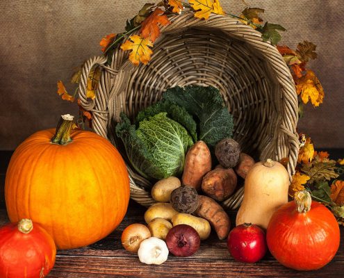 ricette zucca